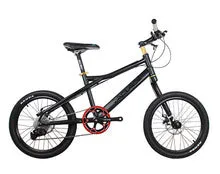 20in Bike 8 Speeds 24 Speeds Suspension Frame Bicycle Mechanical Disc Brake