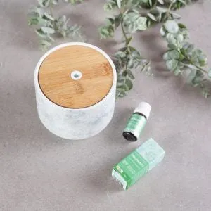 Aroma Stone | USB Diffuser